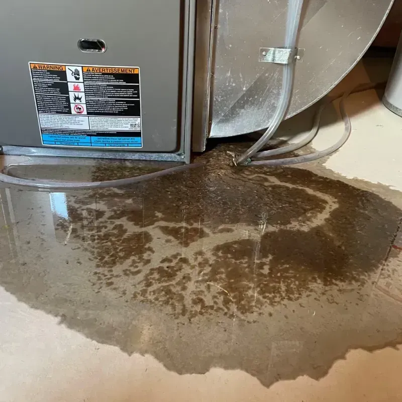 Appliance Leak Cleanup in New Century KS, KS